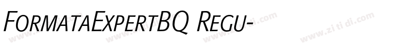 FormataExpertBQ Regu字体转换